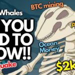 TOO LATE TO BUY?! Hydro Whales Mining Club NFT 🤔🐳💰