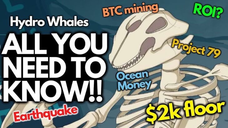 TOO LATE TO BUY?! Hydro Whales Mining Club NFT 🤔🐳💰