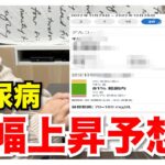 【糖尿病 Type1 GMI予想】糖尿病である私の今年最後の定期検診結果予想GMIがやばすぎた！