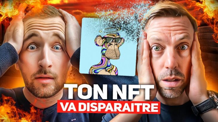 Vos NFT peuvent disparaître si vous n’agissez pas !