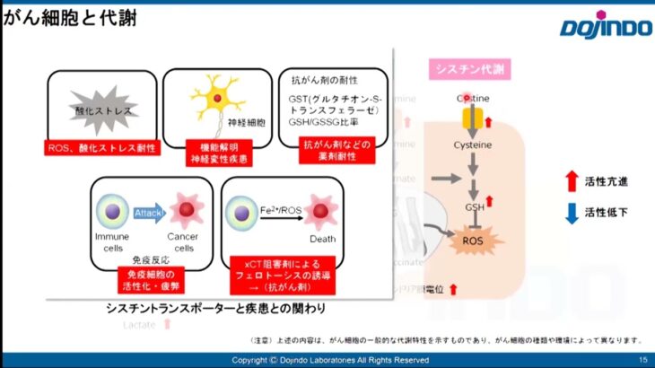 開発者が語る試薬の使い方セミナー(栄養素取り込み)