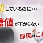 【糖尿病】頑張れば頑張るほど、血糖値が上がる !? こんな現象に苦しんでいませんか？