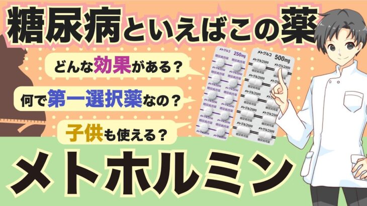 知らないと損する】糖尿病の基本｜メトホルミンってどんな薬？特徴・作用・注意点【薬剤師が解説】