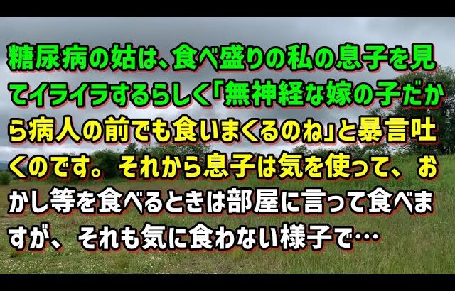 【スカッとひろゆき】糖尿病の姑は、食べ盛りの私の息子を見てイライラするらしく｢無神経な嫁の子だから病人の前でも食いまくるのね｣と暴言吐くのです。それから息子は気を使って…