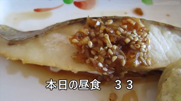 糖尿病患者の食事３３に慣れました？。血糖値の測定はやっていますか？自己管理が一番の健康方法です