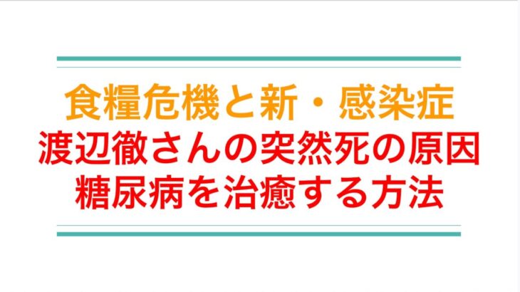 渡辺徹さんの死の原因、糖尿病の対策を考える。