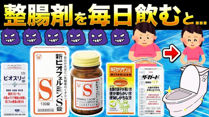 【便秘持ちを救う】現役糖尿病内科医解説！整腸剤を毎日飲んだらカラダが激変します【腸内環境ダイエット】