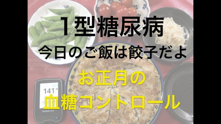 【1型糖尿病】お正月の血糖コントロール？についてグダグダしゃべってます