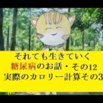 糖尿病のお話し・その12  実際のカロリー計算その3