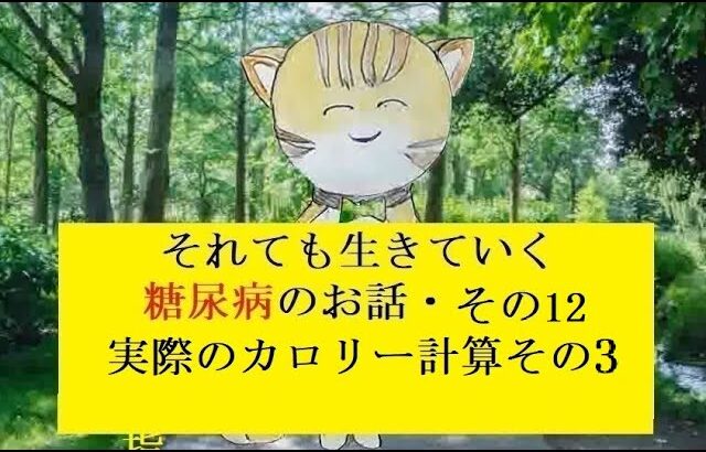 糖尿病のお話し・その12  実際のカロリー計算その3