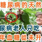 糖尿病最怕1個東西！93歲老人每天吃點它，40年血糖從未升高，無數老年人後悔看晚了【養生1+1】