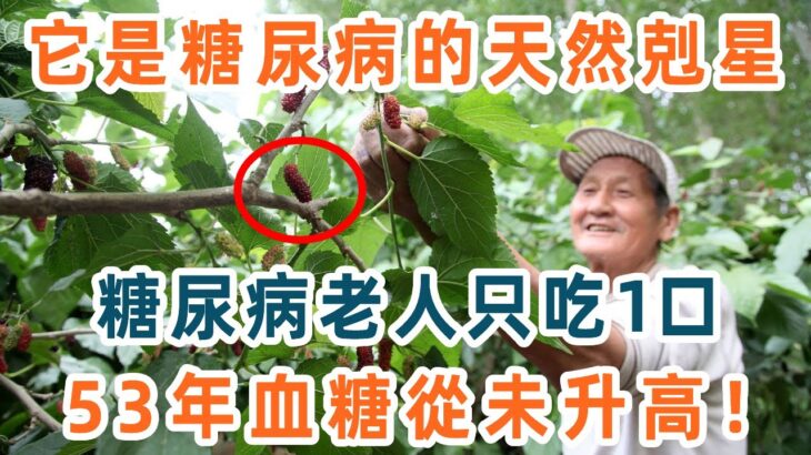 糖尿病最怕1個東西！93歲老人每天吃點它，40年血糖從未升高，無數老年人後悔看晚了【養生1+1】