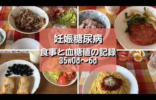 【妊娠糖尿病】食事と血糖値の記録｜妊娠35週0日～6日