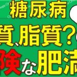 糖尿病 糖質制限？脂質制限？ 糖尿病特徴7選！ 危険な肥満 【医師が解説】