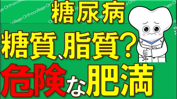 糖尿病 糖質制限？脂質制限？ 糖尿病特徴7選！ 危険な肥満 【医師が解説】