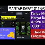 AANFT $11 Airdrop Tanpa Modal Dapat USDT & NFT , Hasil Siap Tampung