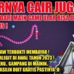 Akhirnya cair juga! cuma main game ular di aplikasi game nft penghasil uang terbaru 2023 crazy snake