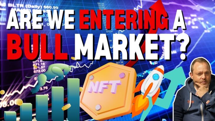 Are we in an NFT BULL MARKET?