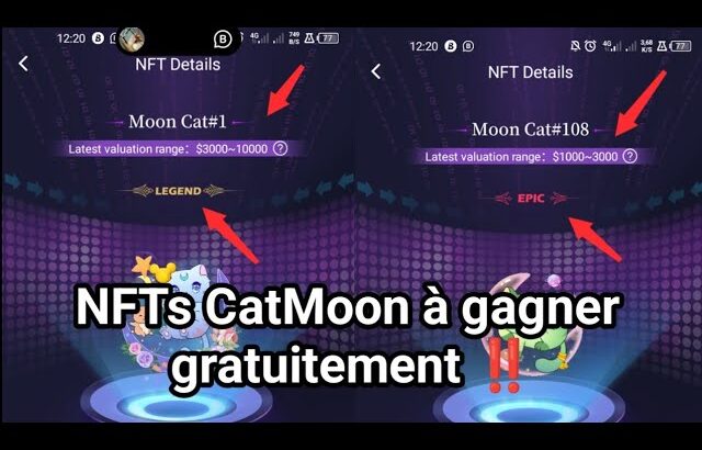 CATSTAR : GAGNER JUSQU’À 10.000$ EN NFT JUSTE EN INVITANT DES AMIS !