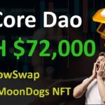 Core Dao Token ATH $72,000 | Core Token ShadoSwap Partnership | MoonDogs NFT on Core Chain