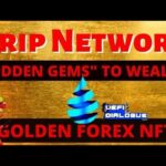 Drip Network – Hidden Gems to wealth-Golden Forex NFT