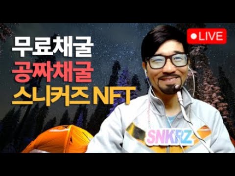 굿즈이벤트!!삼성비트코인ETF/공짜채굴! 무료채굴! 스니커즈 NFT 채굴결과 1월14일 D+135 / 스테픈 NFT