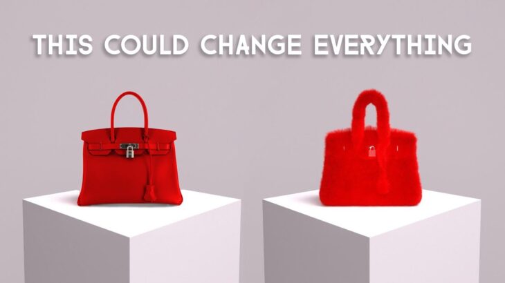 Hermes Birkin Lawsuit! This Could Be a Gamechanger! NFT Metabirkin Update