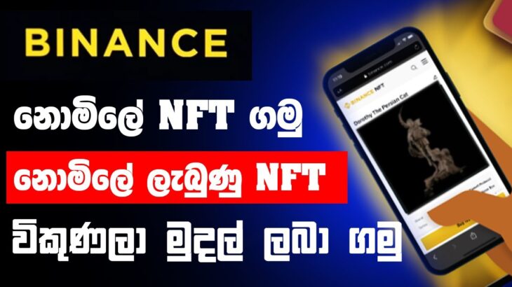 Make Money Online | How to Get Binance NFT |  How To sell Binance NFT Sinhala 2023 #CRYPTOSINHALA