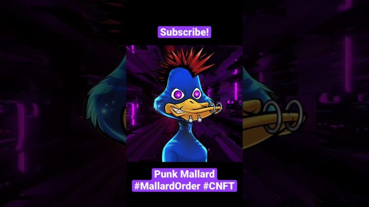 Mallard Order Animations #cnft #cnftcommunity #nft  #MallardOrder #nfts #animation