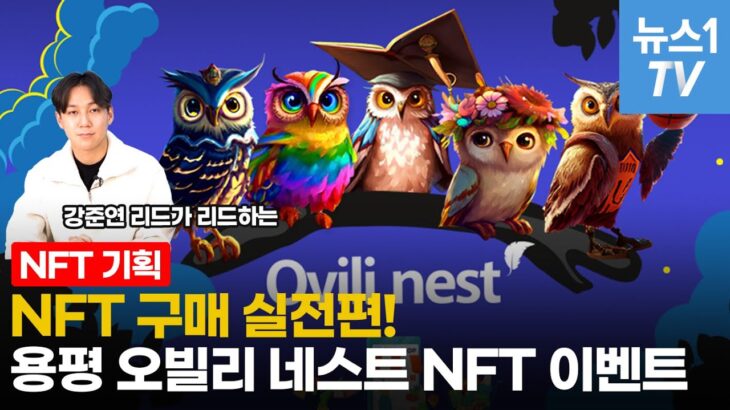 [NFT 바로 알기②]NFT 실전편, 본격 팔라 사용법 알아보기