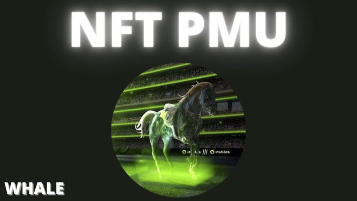 NFT : Stables le projet de PMU à ne pas rater 🏇