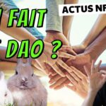 On fait une DAO NFT ensemble? – Actu NFT & Blockchain Gaming