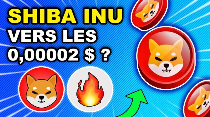 🚨 SHIBA INU : ACHAT MASSIF DE SHIB 🔥 PUMP EN VUE ? 0.00002$ ? 🚀 SHIB NFT BUGATTI 😮 (actu crypto)