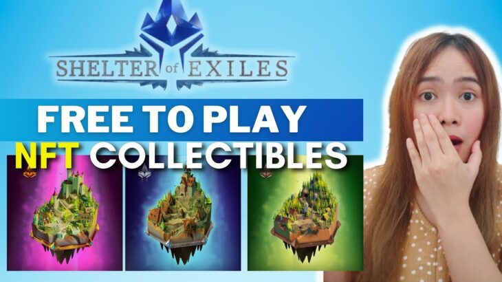 Shelter of Exiles Free to Play NFT P2E Game on BNB Chain