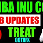 Shiba Inu Coin News Today | Shiba Inu ECO System: Metaverse, NFT, Treat Token | OCTAFX Forex Broker