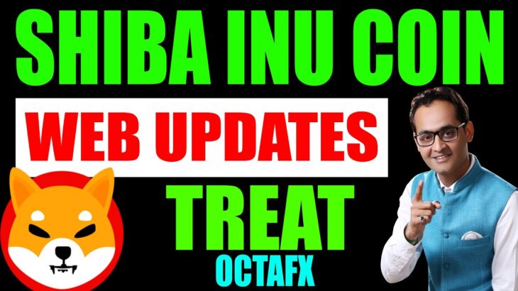 Shiba Inu Coin News Today | Shiba Inu ECO System: Metaverse, NFT, Treat Token | OCTAFX Forex Broker