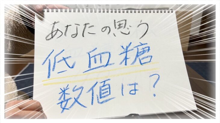 【糖尿病 Type1】低血糖って一体どの数値から？私の思う低血糖の数値はこれ！