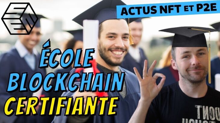 Une école pour former les acteurs WEB3 – Actu NFT & Blockchain Gaming