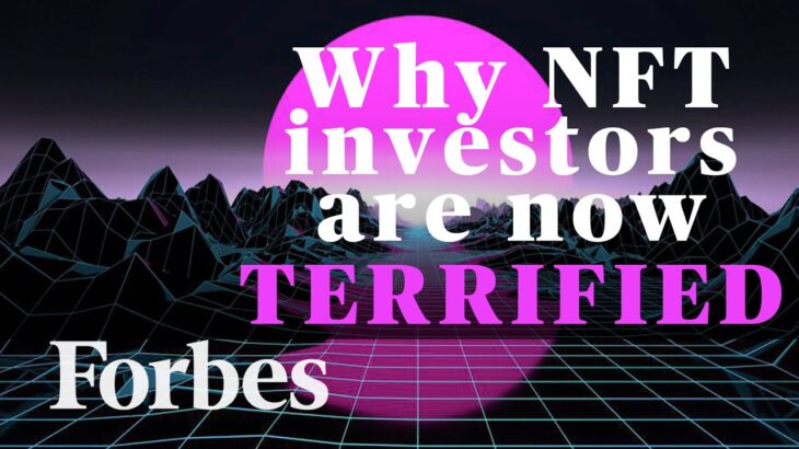 Why NFT Investors Are Now ‘Terrified’: Forbes Crypto Editor