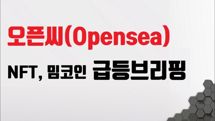 비트코인 리플 이더리움 오픈씨 opensea 작업으로인한 NFT 장세 설명 _ + 밈코인 동반