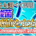 【糖尿病】うんちを調べた判明した酪酸菌と血糖値の深い関係【論文、短鎖脂肪酸、健康】