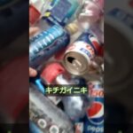 将来絶対糖尿病になるやつ