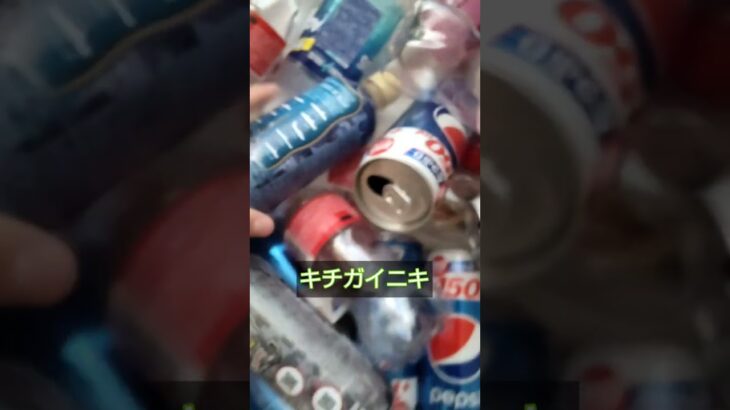 将来絶対糖尿病になるやつ