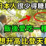 為何日本人很少得糖尿病？日本血糖專家揭曉答案！飯後愛吃1種水果，糖尿病這輩子不會找你，比任何降糖藥都有效！【養生常談】