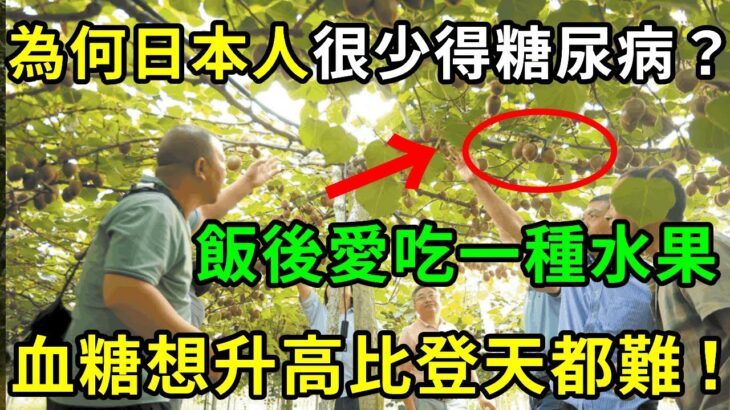 為何日本人很少得糖尿病？日本血糖專家揭曉答案！飯後愛吃1種水果，糖尿病這輩子不會找你，比任何降糖藥都有效！【養生常談】