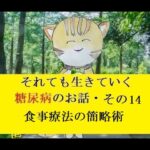 糖尿病のお話し・その14  食事療法の簡略術