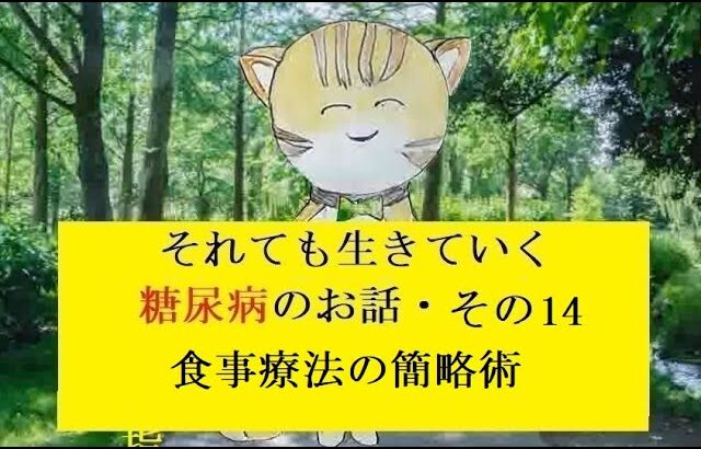 糖尿病のお話し・その14  食事療法の簡略術