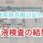 糖尿病克服日記14  血液検査6