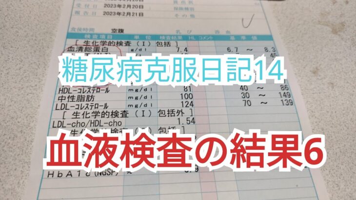 糖尿病克服日記14  血液検査6