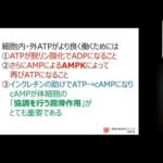 2型糖尿病におけるインクレチンとミトコンドリアの協調によるPKA経路の重要性(再収録分）